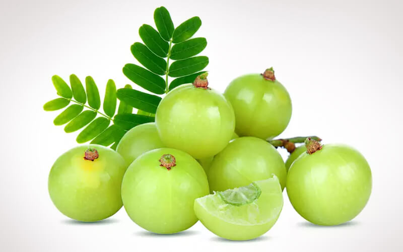 Amla Amla