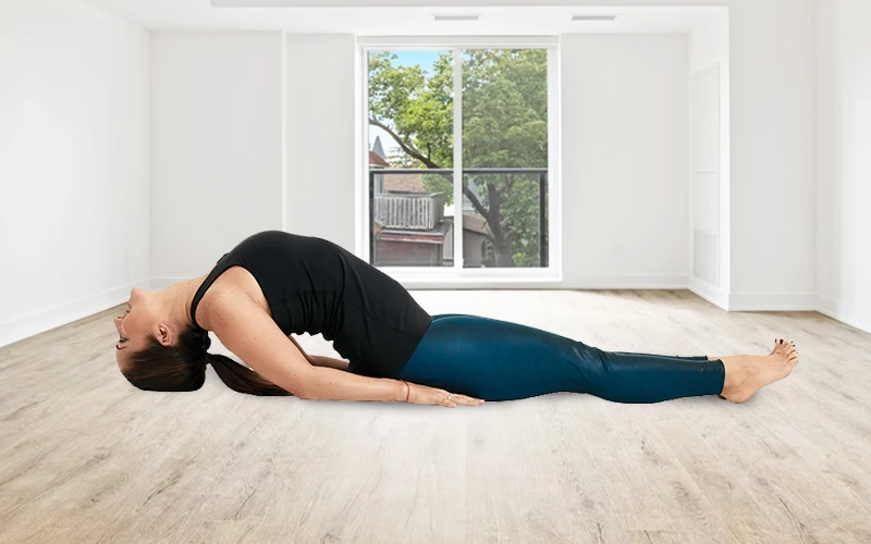 Matsyasana Yoga Poses