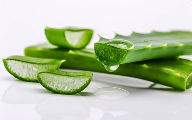 aloevera