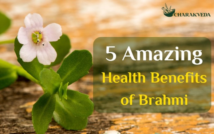 health benefits of brahmi