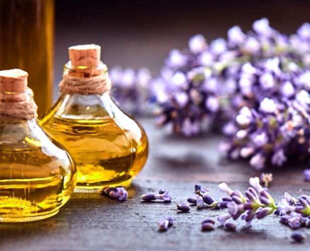 lavender oil