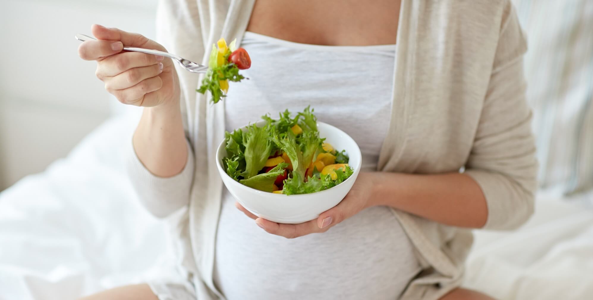 Pregnancy Healthy Diet