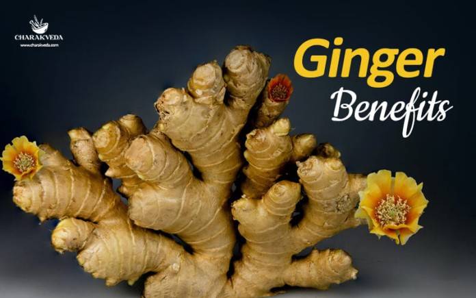 Ginger Benefits