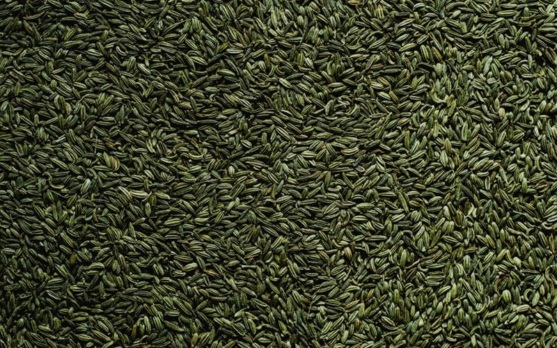 Fennel Seeds or Saunf