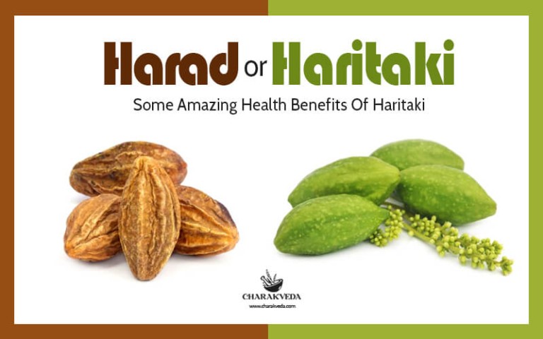 Harad Or Haritaki: Some Amazing Health Benefits Of Haritaki