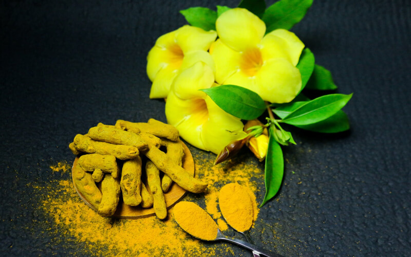 Turmeric Powder Benefits